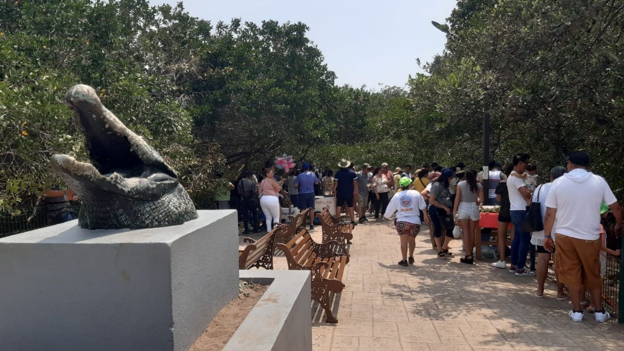 Mirador de Cocodrilos 3